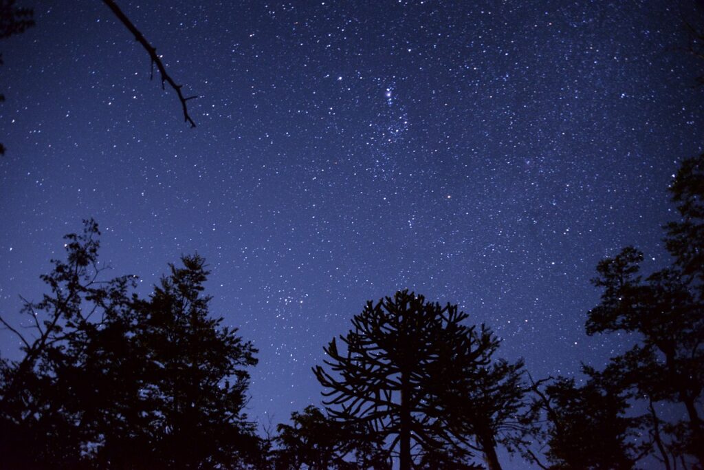 darling, star, trees-710569.jpg